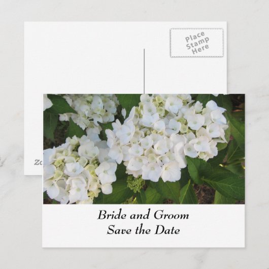 White Wedding Hydrangeas Aankondigingskaart (Voorkant / Achterkant)