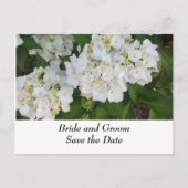 White Wedding Hydrangeas Aankondigingskaart (Voorkant)