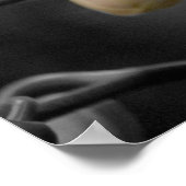 White Wedding Orchid Poster (Hoek)