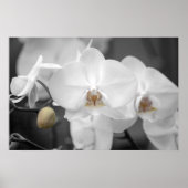 White Wedding Orchid Poster (Voorkant)