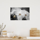 White Wedding Orchid Poster (Keuken)