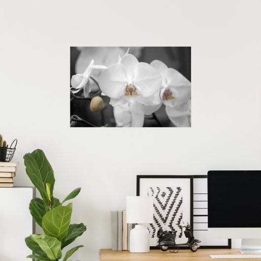 White Wedding Orchid Poster (Thuiskantoor)