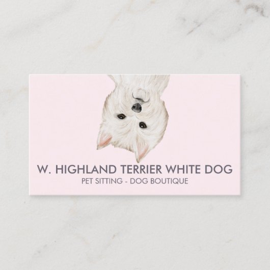 White West Highland Terrier Dog Visitekaartje (Voorkant)
