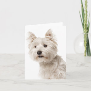 White West Highland Terrier Puppy Dog Hallo Love Kaart