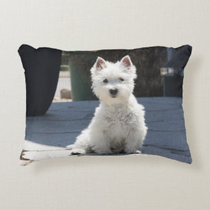 White West Highland Terrier Sitting on Sidewalk Accent Kussen