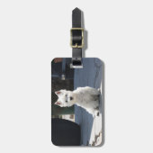 White West Highland Terrier Sitting on Sidewalk Bagagelabel (Voorkant verticaal)