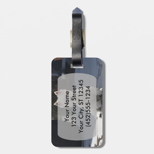 White West Highland Terrier Sitting on Sidewalk Bagagelabel (Achterkant verticaal)