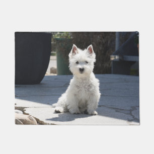 White West Highland Terrier Sitting on Sidewalk Deurmat