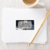 White West Highland Terrier Sitting on Sidewalk Etiket (Insitu)