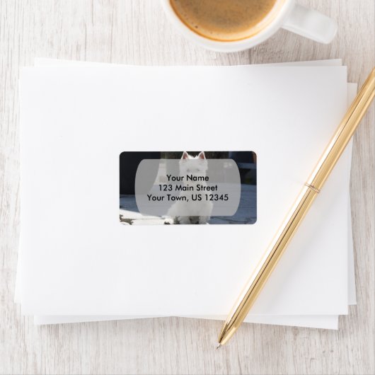 White West Highland Terrier Sitting on Sidewalk Etiket (Insitu)