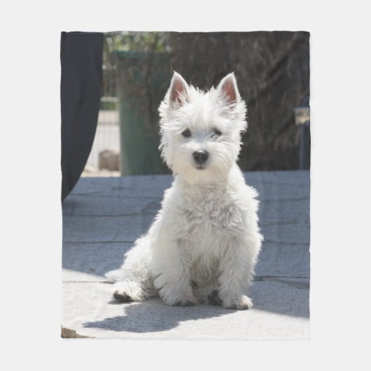 White West Highland Terrier Sitting on Sidewalk Fleece Deken (Voorkant)