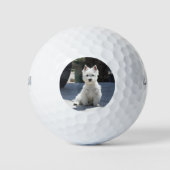 White West Highland Terrier Sitting on Sidewalk Golfballen (Voorkant)