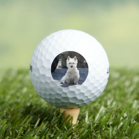 White West Highland Terrier Sitting on Sidewalk Golfballen (Insitu Shirt)