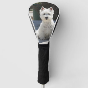 White West Highland Terrier Sitting on Sidewalk Golfheadcover