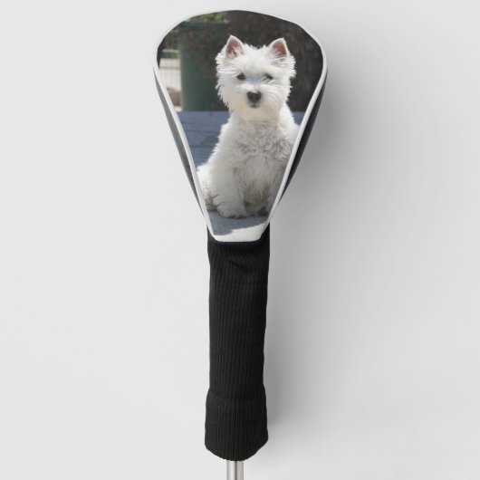 White West Highland Terrier Sitting on Sidewalk Golfheadcover (Voorkant)