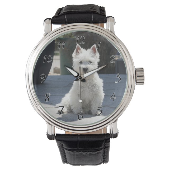 White West Highland Terrier Sitting on Sidewalk Horloge (Voorkant)