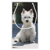White West Highland Terrier Sitting on Sidewalk Klein Cadeauzakje (Achterkant)