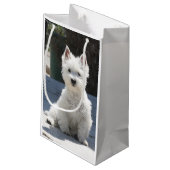 White West Highland Terrier Sitting on Sidewalk Klein Cadeauzakje (Achterkant Gekanteld)
