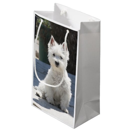 White West Highland Terrier Sitting on Sidewalk Klein Cadeauzakje (Achterkant Gekanteld)