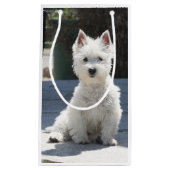 White West Highland Terrier Sitting on Sidewalk Klein Cadeauzakje (Voorkant)