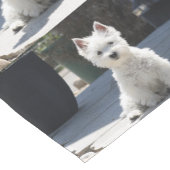 White West Highland Terrier Sitting on Sidewalk Korte Tafelloper (Hoek)