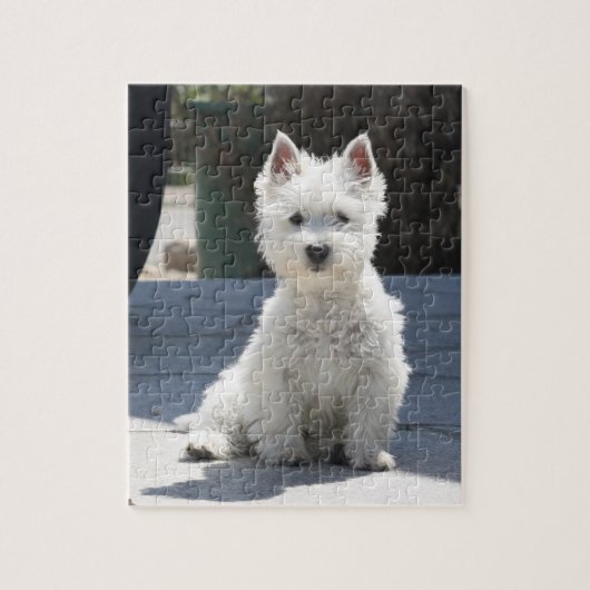 White West Highland Terrier Sitting on Sidewalk Legpuzzel (Verticaal)