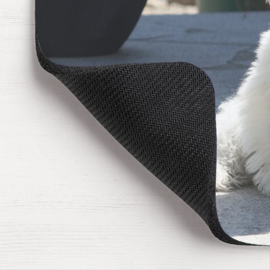 White West Highland Terrier Sitting on Sidewalk Muismat (Hoek)