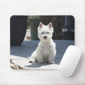 White West Highland Terrier Sitting on Sidewalk Muismat (Met muis)