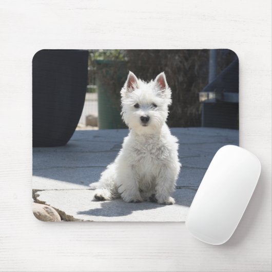 White West Highland Terrier Sitting on Sidewalk Muismat (Met muis)