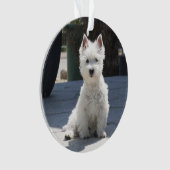 White West Highland Terrier Sitting on Sidewalk Ornament (voorkant)