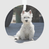 White West Highland Terrier Sitting on Sidewalk Ornament (achterkant)
