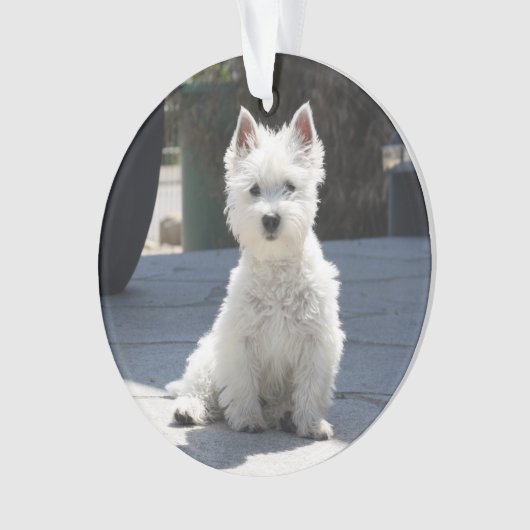 White West Highland Terrier Sitting on Sidewalk Ornament (voorkant)