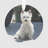 White West Highland Terrier Sitting on Sidewalk Ornament (voorkant)
