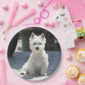 White West Highland Terrier Sitting on Sidewalk Papieren Bordje (Feest)