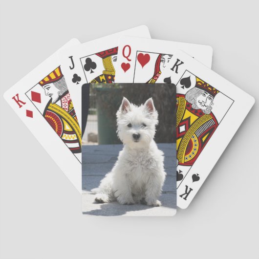 White West Highland Terrier Sitting on Sidewalk Pokerkaarten (Achterkant)