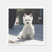 White West Highland Terrier Sitting on Sidewalk Servetten (Voorkant)
