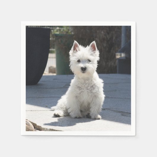White West Highland Terrier Sitting on Sidewalk Servetten (Voorkant)