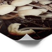 White Wild Mushroom Cluster Poster (Hoek)