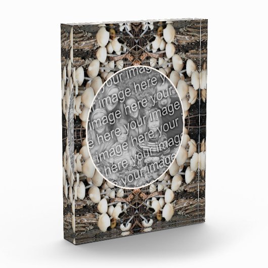 White Wild Mushrooms Natuur Voeg je eigen Fotoblokken (Links)