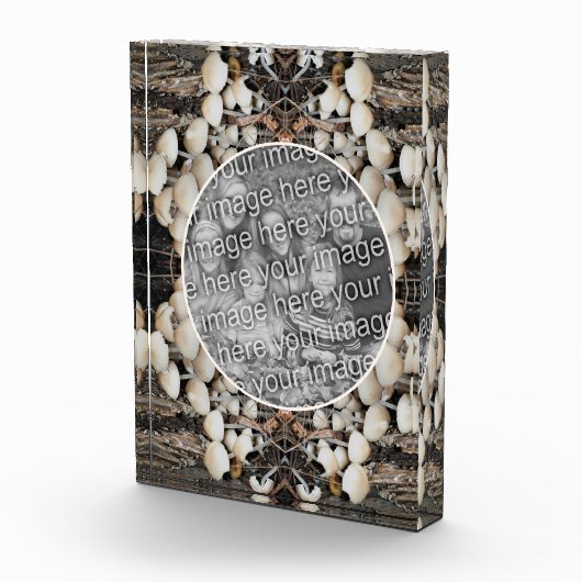 White Wild Mushrooms Natuur Voeg je eigen Fotoblokken (Rechts)