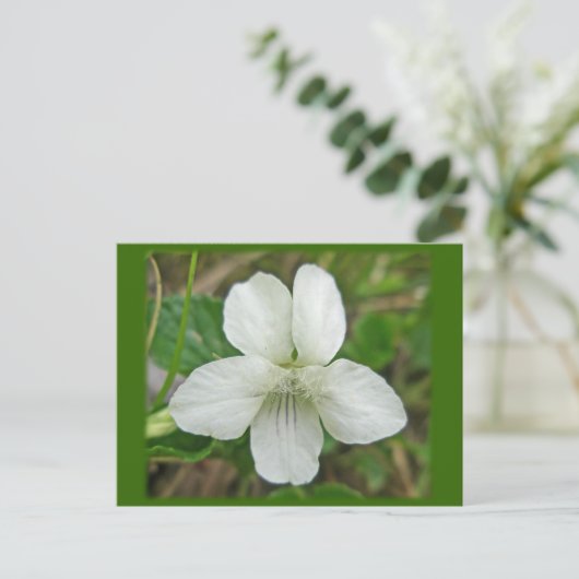 White Wild Violet Coordating Items Briefkaart (Staand voorkant)