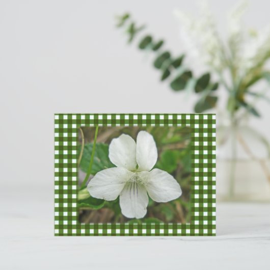 White Wild Violet Coordating Items Briefkaart (Staand voorkant)