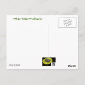 White Wild Violet Coordating Items Briefkaart (Achterkant)