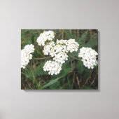 White Wildflower Canvas print (Voorkant)