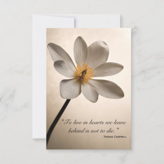 White Wildflower Hartelijk dank voor uw sympathiek Bedankkaart (Voorkant)