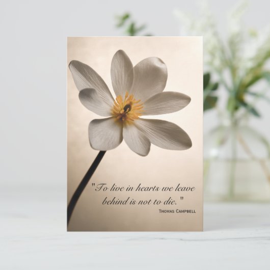 White Wildflower Hartelijk dank voor uw sympathiek Bedankkaart (Staand voorkant)