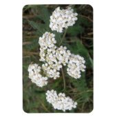 White Wildflower Premium Magnet Magneet (Verticaal)