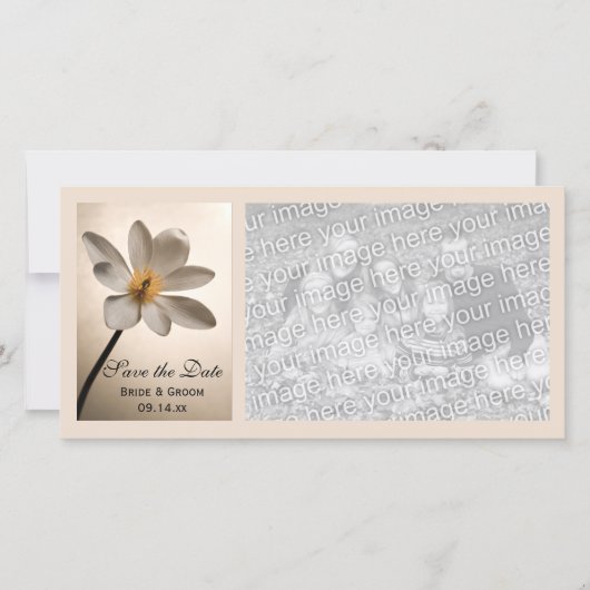 White Wildflower Wedding Save the Date (Voorkant)