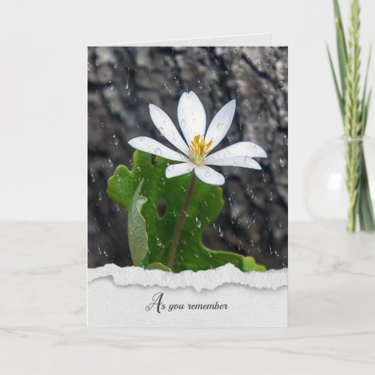 White Wilflower Raindrops sympathie card Kaart (Voorkant)