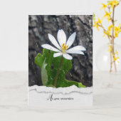 White Wilflower Raindrops sympathie card Kaart (Gele Bloem)